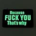 NEO Tactical Gear Because Fuck You That's Why PVC Rubber Offensive Morale Patch - Hook Backed (Glow in The Dark)