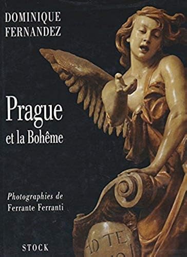 Download Prague et la Bohême PDF