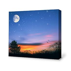 for Living Room Bedroom Home Artwork Paintings Secret...