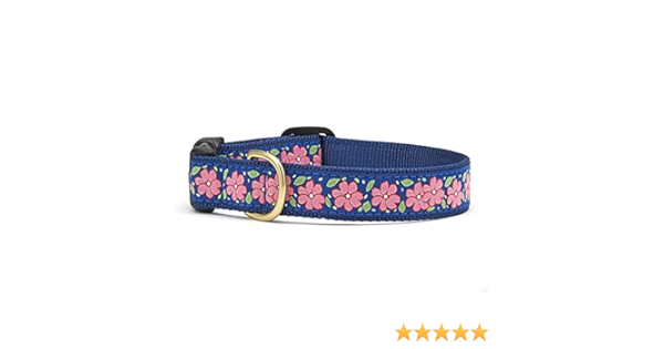 up country dog collars amazon