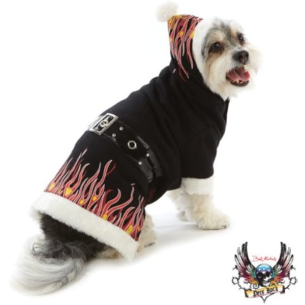 english mastiff show dogs