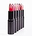 Fifth & Skin BOTANICAL Lipstick (POMEGRANATE) | Vegan | Natural | Organic | Certified Cruelty Free | Paraben Free | Petroleum Free | Healthy | Moisturizing | Vibrant Color that's Good for your Lips!