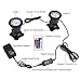 S SMIFUL Pond Light IP68 Submersible Spotlight Remote RGB Color Changing Waterproof Lawn Spot Light for Aquarium Garden Pond Pool Tank Fountain Waterfall (set of 2)