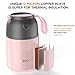 Updated 2019 Version Insulated Food Storage Container Thermos Food Jar Stainless Steel Vacuum Soup Lunch Flask Wide Mouth for Kids Baby with Spoon Leak Proof Hot Cold Food for School Picnic Outdoors