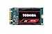 Toshiba Memory America THN-RC10Z2400G8(TS OCZ RC100 Series NVMe M.2 2242 Internal SSD 240GB