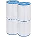 2 Pack Guardian Pool Spa Filter Replaces Unicel C-4950 Pleatco PRB50-IN Filbur FC-2390 primary