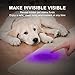 Allisable Black Light, 395nm UV Flashlight Detector for Dry Pet Urine with Zoomable