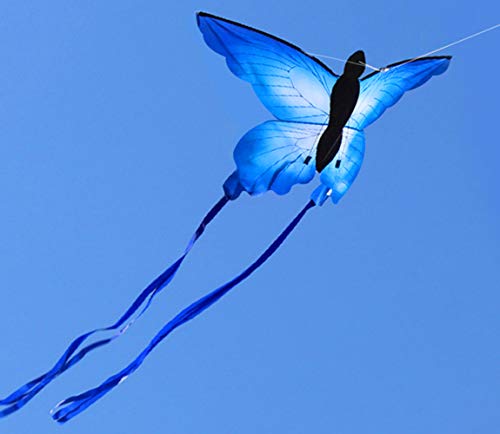 2 HENGDA+KITE+Beautiful+Butterfly+Activities