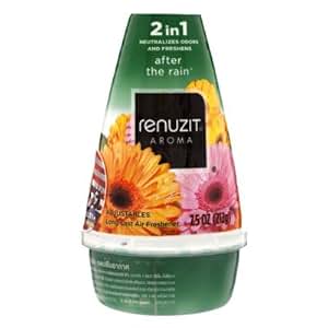 amazon air freshener Kitchen 212g.: Gel Freshener Aroma Home Rain Air the Amazon.com: Renuzit After &