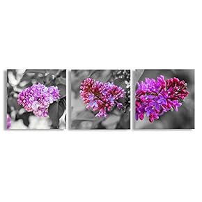 Canvas Wall Art Beautiful Flowers Collage Painting Artwork for Home Prints Framed - 12"x12"x3 Panels