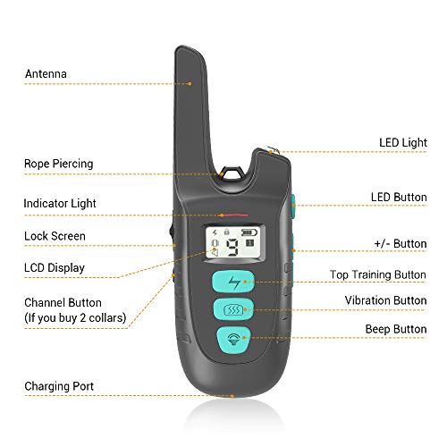 tokego dog training collar