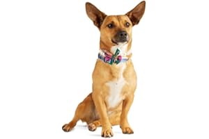 Youly Pearl Necklace for Dogs, Small/Medium, White or Ivory