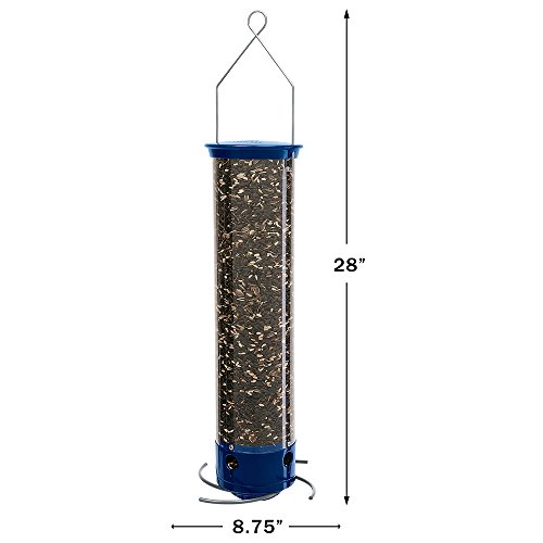 Droll Yankees Squirrel Proof Bird Feeder, Yankee Whipper, 28-Inch, 4 Ports, Blue