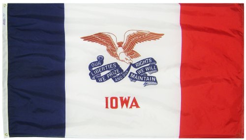 Annin FlagmakersIowa State Flag USA-Made to Official State Design Specifications, 3 x 5 Feet (Model 141760)