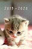 Pocket Daily Planner 2019 2020 15 Months Kitten Cat Planner: Small Mini Calendar To Fit Purse & Pocket; Ultra Portable Slim Academic Monthly & Weekly ... Motivational Quotes; From Oct 2019- Dec 2020 by Zen Pocket Daily Planner