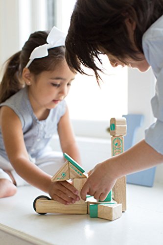 Tegu Magbot Magnetic Wooden Block Set