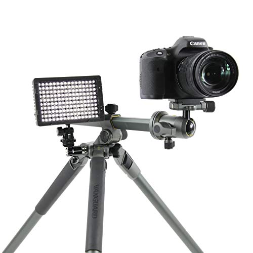 Vanguard Alta Pro 2+ 263AB 100 Aluminum Tripod with Alta BH-100 Ball Head and Multi-Angle Center Column