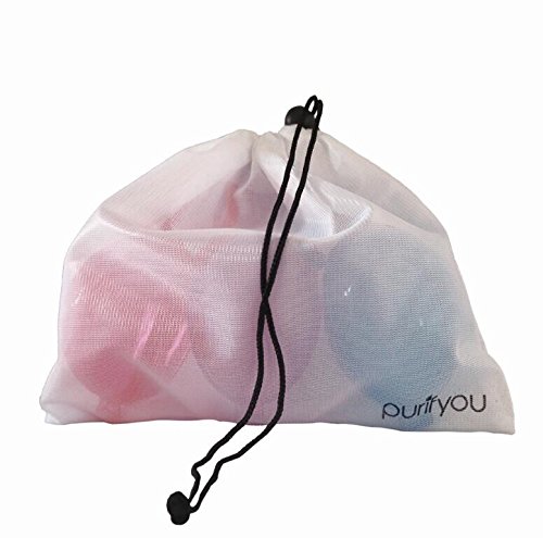 Pacifier Case: purifyou PurePouch BPA-Free Nipple Shield Case & Pacifier Holder, Set of 3, With Free Mesh Sack