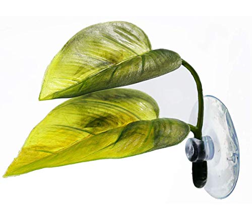 Haulonda Betta Fish Hammock Leaf