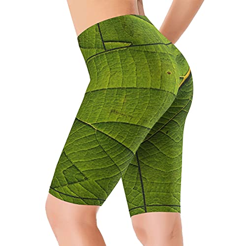 Inaayayi Hoge Taille Yoga Shorts Groen Blad Eco Textuur Creatieve Groene Blad Texturen Vrouwen Bike Shorts Tummy Control… - Image 3