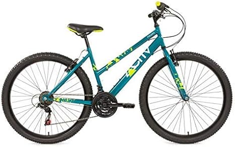 raleigh activ ladies bike