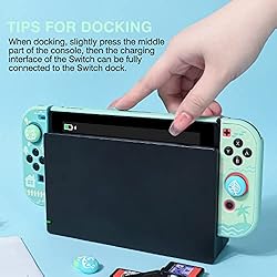 DLseego Protective Case Design for Switch