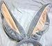 Looney Tunes Bugs Bunny Ears, Head Band, Great Halloween Costume Accessory