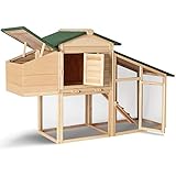 Feelgooduk Poulailler Avec Perchoirs Intérieurs Amazonfr Animalerie