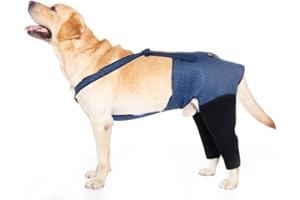 Coodeo Dog Recovery Suit, Cone Collar Alternative, Abrasion Resistant Dog Recovery Rear Sleeves, Washable 2.5mm Thick and Waterproof, Pet Wounds Prevent Licking, Biting (XL, Blue)