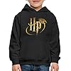 Spreadshirt® Harry Potter Logo HP Kinderen trui Premium met capuchon