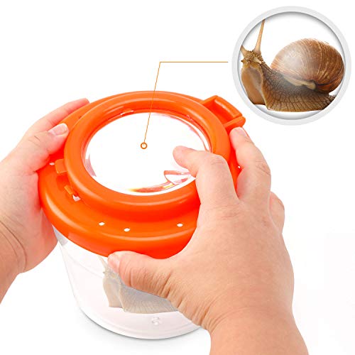 6 Liberty+Imports+Backyard+Adventure+Collection