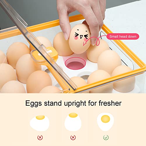 24 Grid Egg Holder, Refrigerator Egg Container Organizer Stackable Clear Plastic Egg Cartons Egg