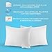 The Grand Pillow Covers Queen Size - Poly-Cotton Pillow Protector with Zipper - Moisture Wicking, Advanced Allergy Protection Pillow Protector - Protects Pillow from Dust, Dirt, and Debris (4 Pack)