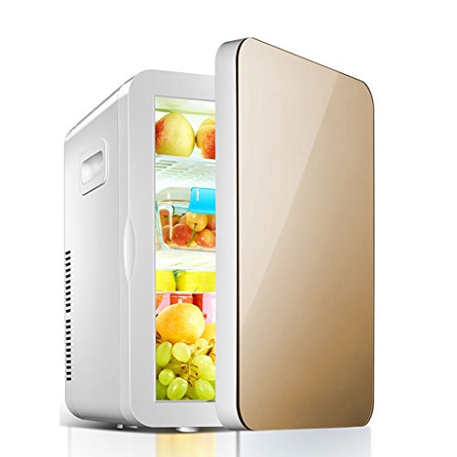 Car Refrigerator Jadeking@ 20L, Mini Fridge Mononuclear Refrigeration Car Dual-use Hot And Cold Dual Use 220V AC / 12V DC (Color : Gold)