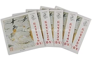 Dunhuang Nylon Guzheng Strings, Type B, 1 Piece, 1 - #21 Selectable (#3)