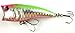 HENGJIA Hard Plastic Popper Topwater Floating Fishing Lures Surface Water Bass Baits Hooks Tackle
