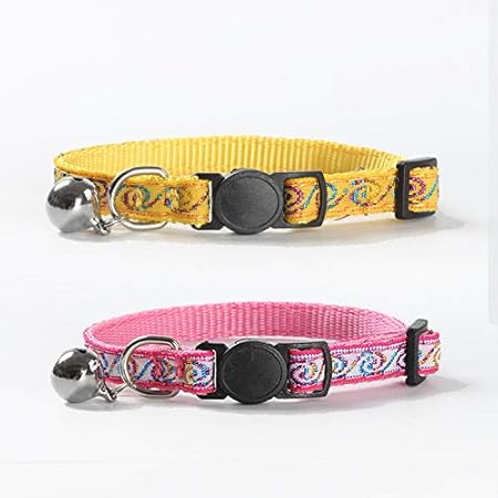 chewy dog food hill's science diet