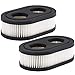 HIPA (Pack of 2 593260 798452 Air Filter Cartridge for Briggs & Stratton 550E-550EX Series 4247 5432 5432K Engine Lawnboy Lawnmower