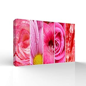 Colorful Flowers Pictures Home Wall for Bedroom Living...