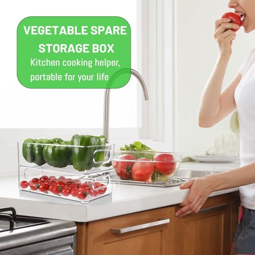Royouzi Pack of 10 Fridge Storage Organizers, Transparent | Organisation Box with Handle & Lid, Fridge Storage Bin for Kitchens, Cupboards