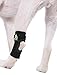 MyProSupports Pair of Dog Canine Rear Leg Hock Joint Wraps Protects Wounds, Heal Compression Brace Heals and Prevents Injuries and Sprains