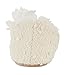 MIXIN Women's Ballerina Soft Sole Home Slippers with Lace Flower Beige