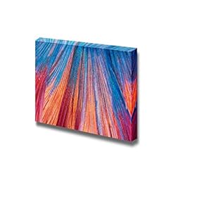 Siamese Fighting Fish Wall Decor