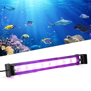 YOUTHINK Illuminazione a Led per Acquario Illuminazione per Acquari Serbatoio di Pesce Telecomando Luce a Led per la… YOUTHINK YOUTHINK Illuminazione a Led per Acquario Illuminazione per Acquari Serbatoio di Pesce Telecomando Luce a Led per la…