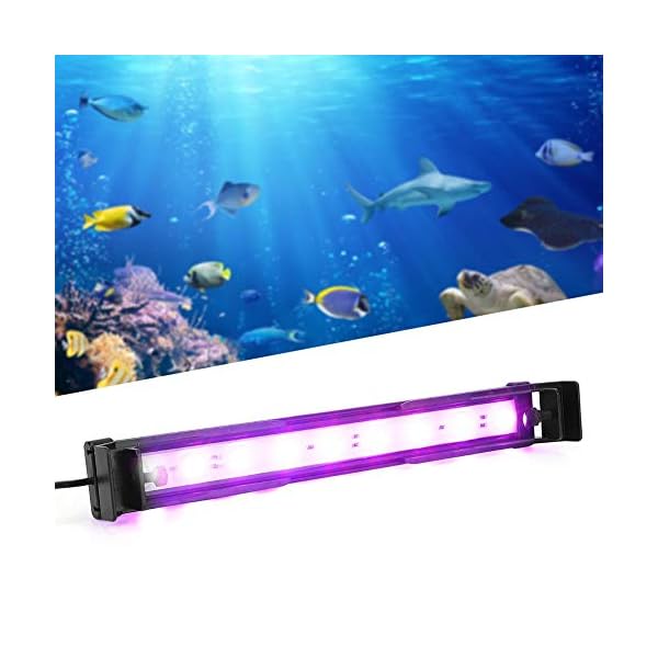 YOUTHINK Illuminazione a Led per Acquario Illuminazione per Acquari Serbatoio di Pesce Telecomando Luce a Led per la… YOUTHINK YOUTHINK Illuminazione a Led per Acquario Illuminazione per Acquari Serbatoio di Pesce Telecomando Luce a Led per la…