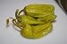 Pepperoncini Pepper 4 Live Plants - Great for Pickling