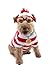 Elope Woof Dog Costume, Small