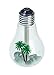 Air Humidifier