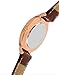 Daniel Wellington Petite St Mawes 32mm Women's Watch, Leather Rose Gold Watch for Women