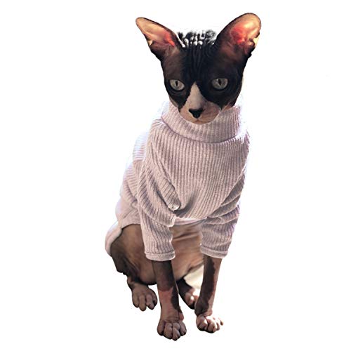 sphynx cornish rex